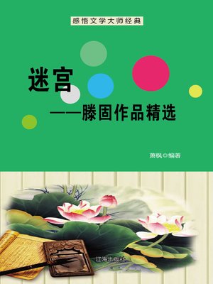 cover image of 迷宫 (Maze)